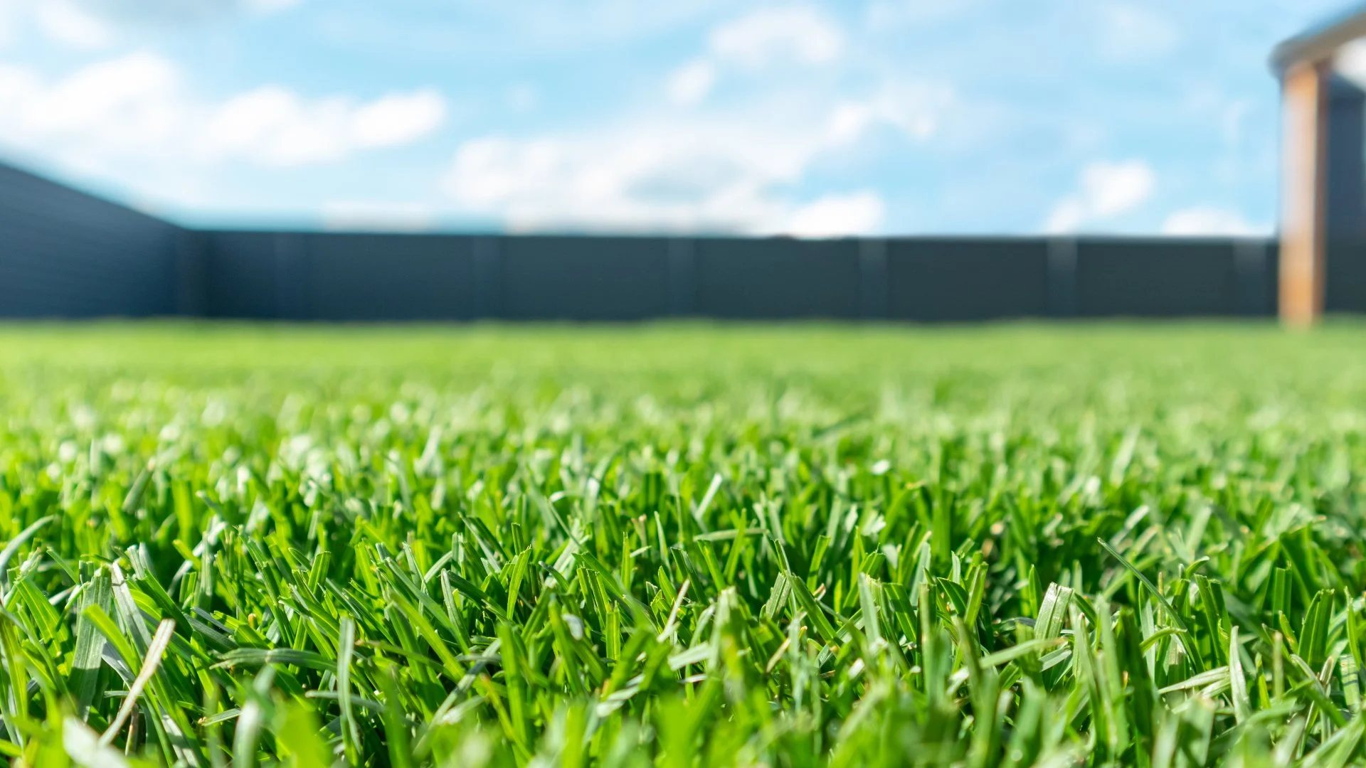 What's a Good Fertilization Schedule for Lawns in Las Cruces, NM?