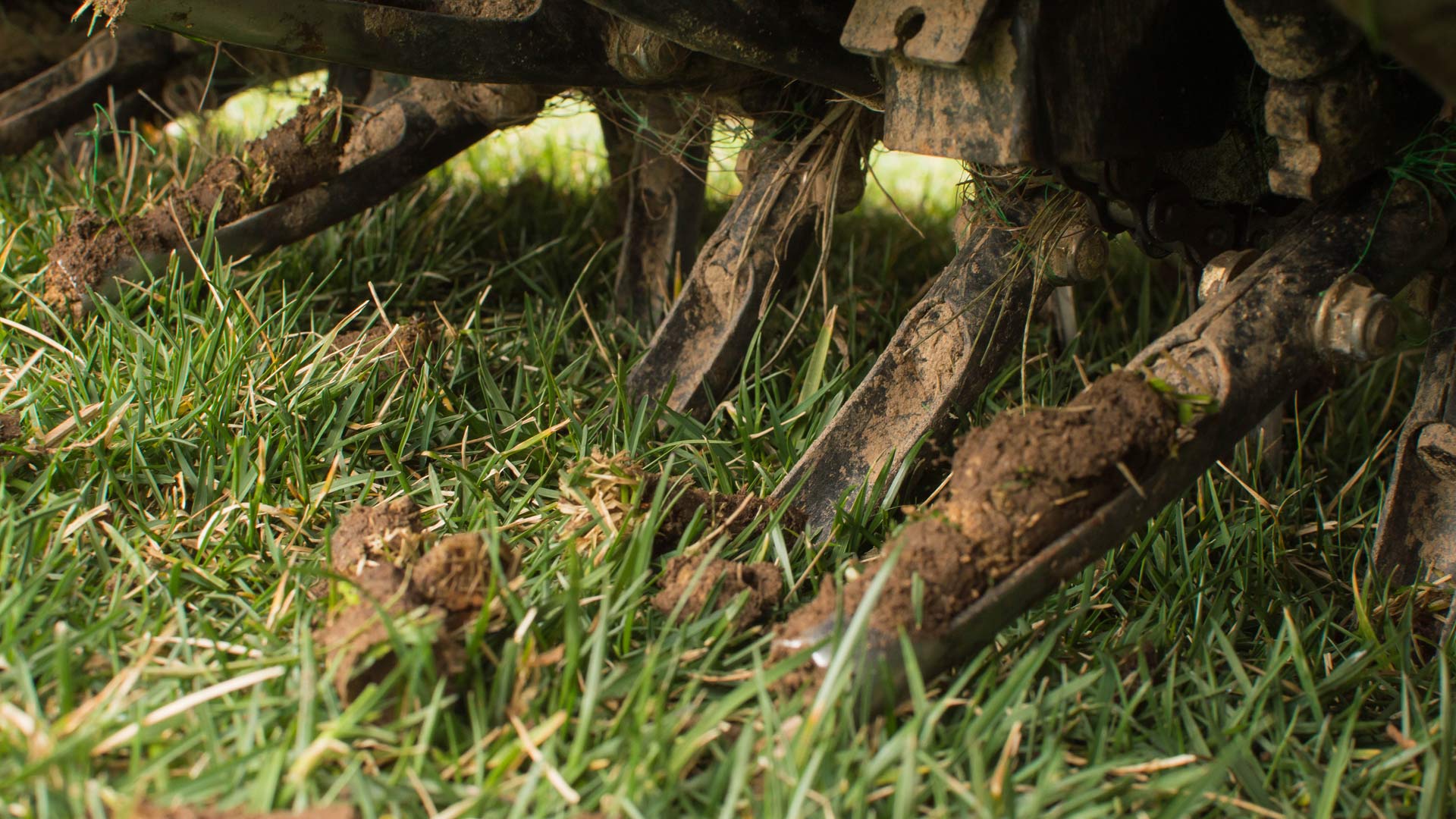 Core aerator machine servicing a lawn in El Paso, TX.