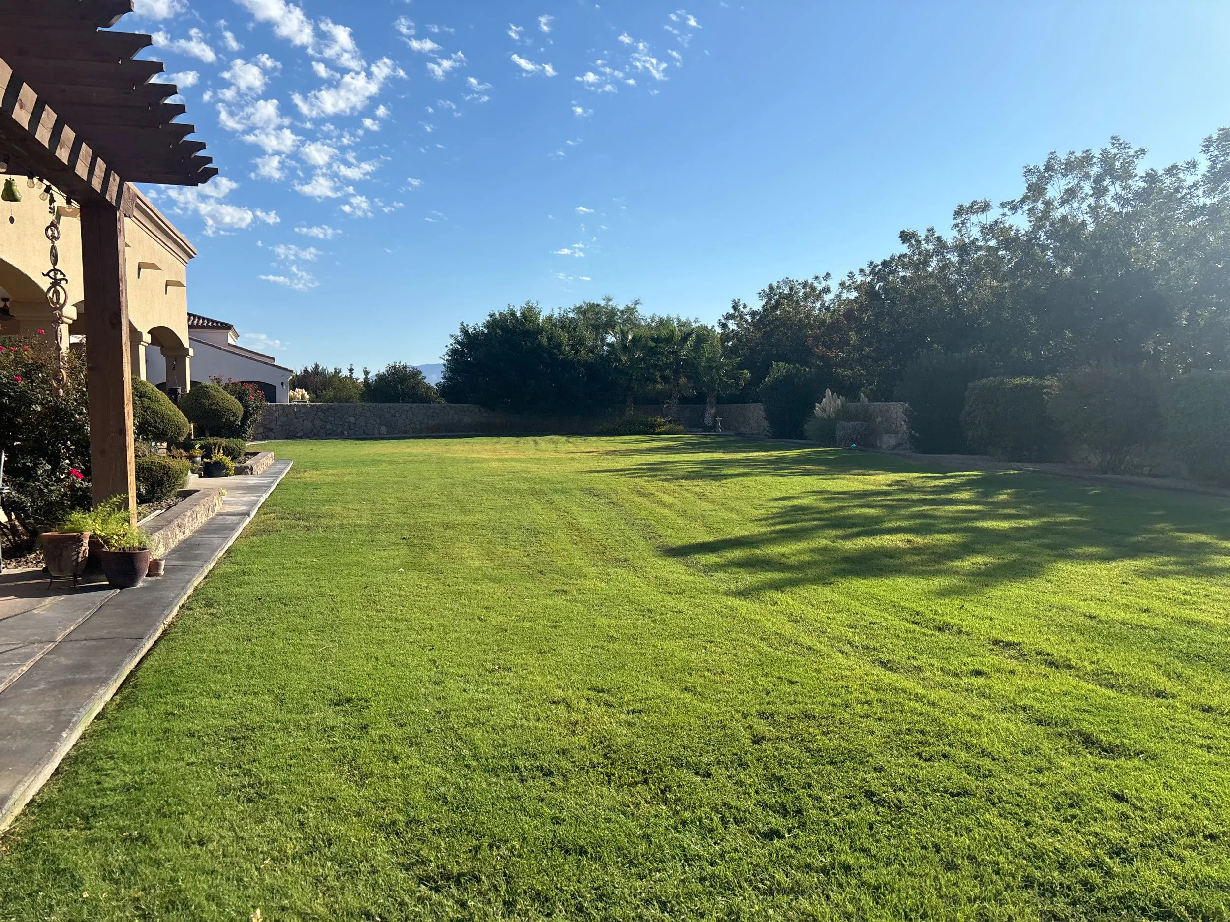 Fresh lawn after mowing, surrounded by trees in El Paso, TX.