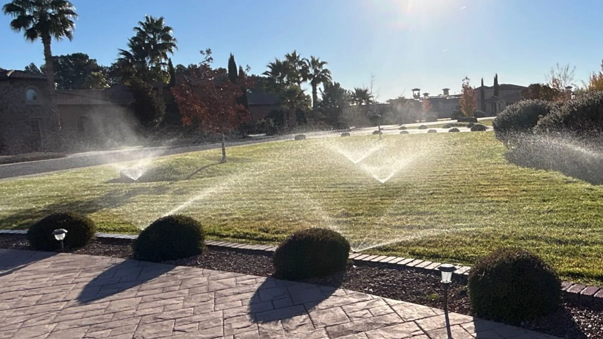 Does Your Irrigation System Have a Leak? What to Look For