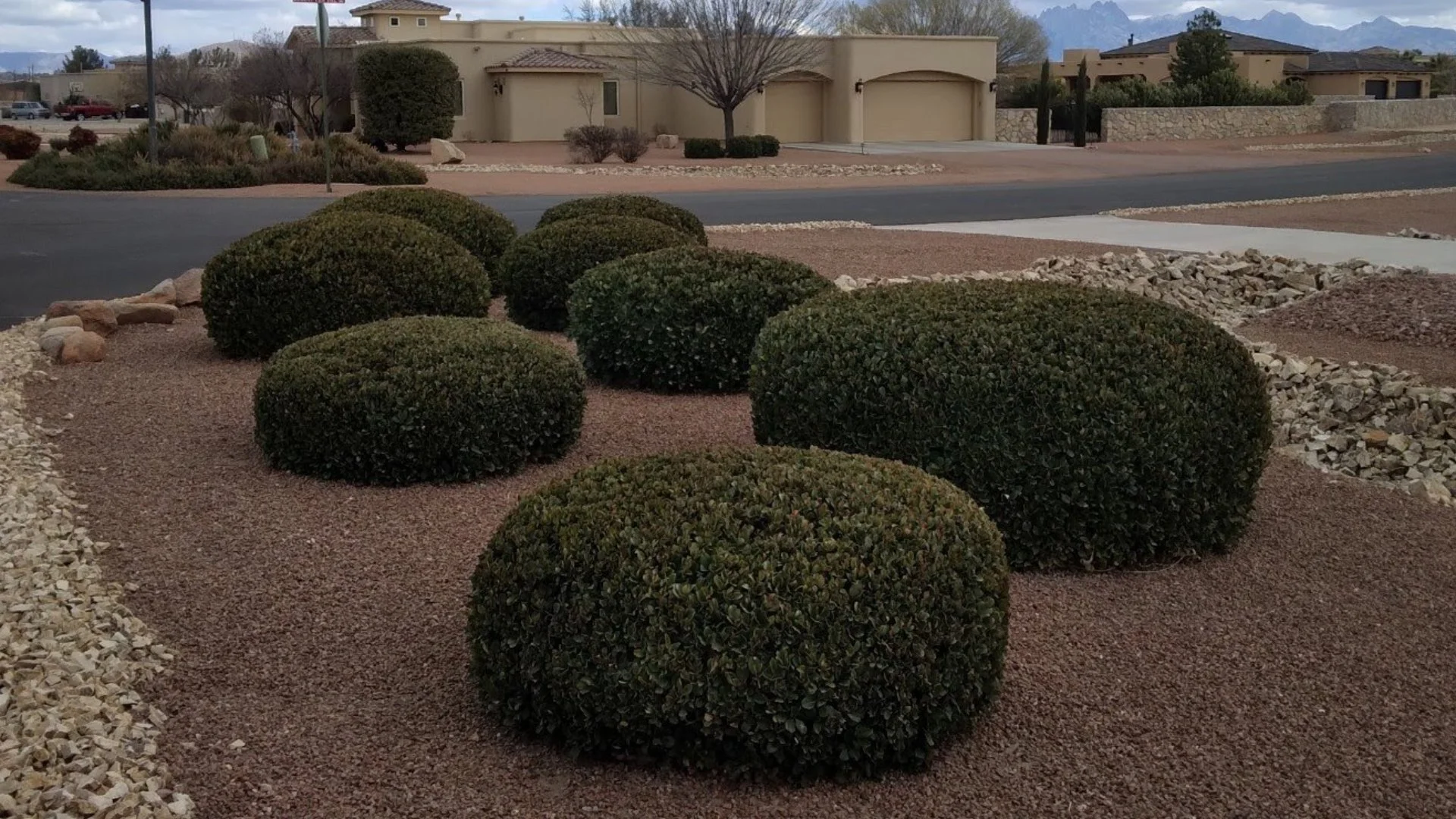 Maintaining the Look of Your Plants Starts With Trimming