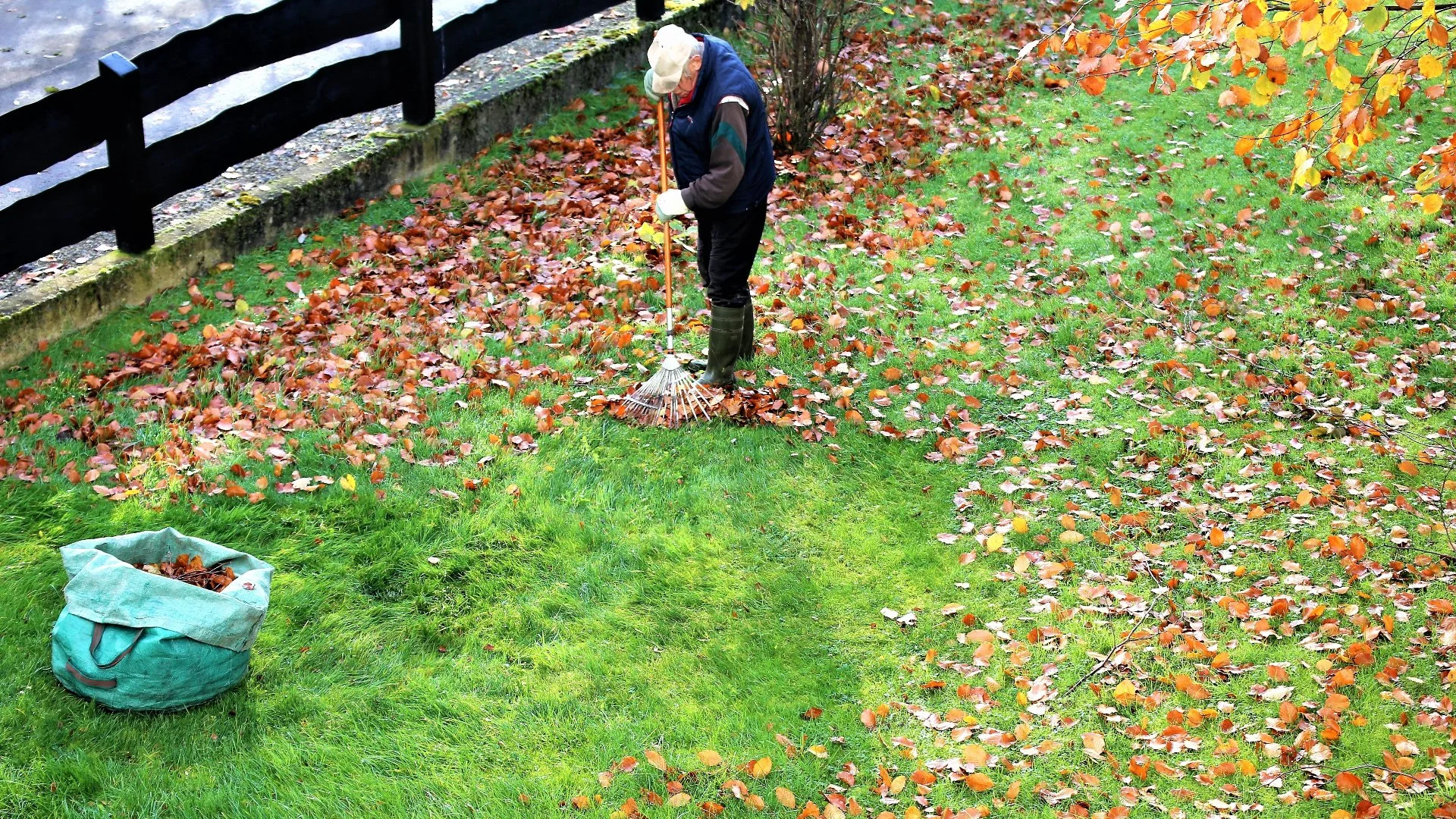 Clearing Leaves & Debris off of Your Lawn Is for More Than Just Curb Appeal