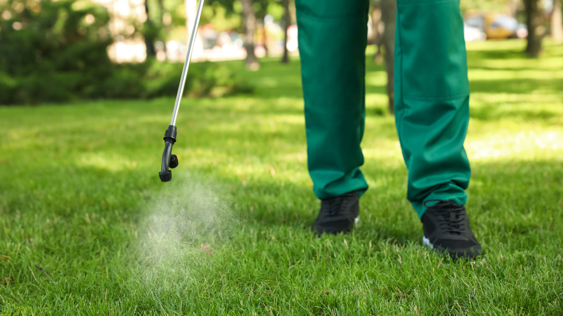 Professional applying fertilizer treatments to a lawn in Mesilla, NM.
