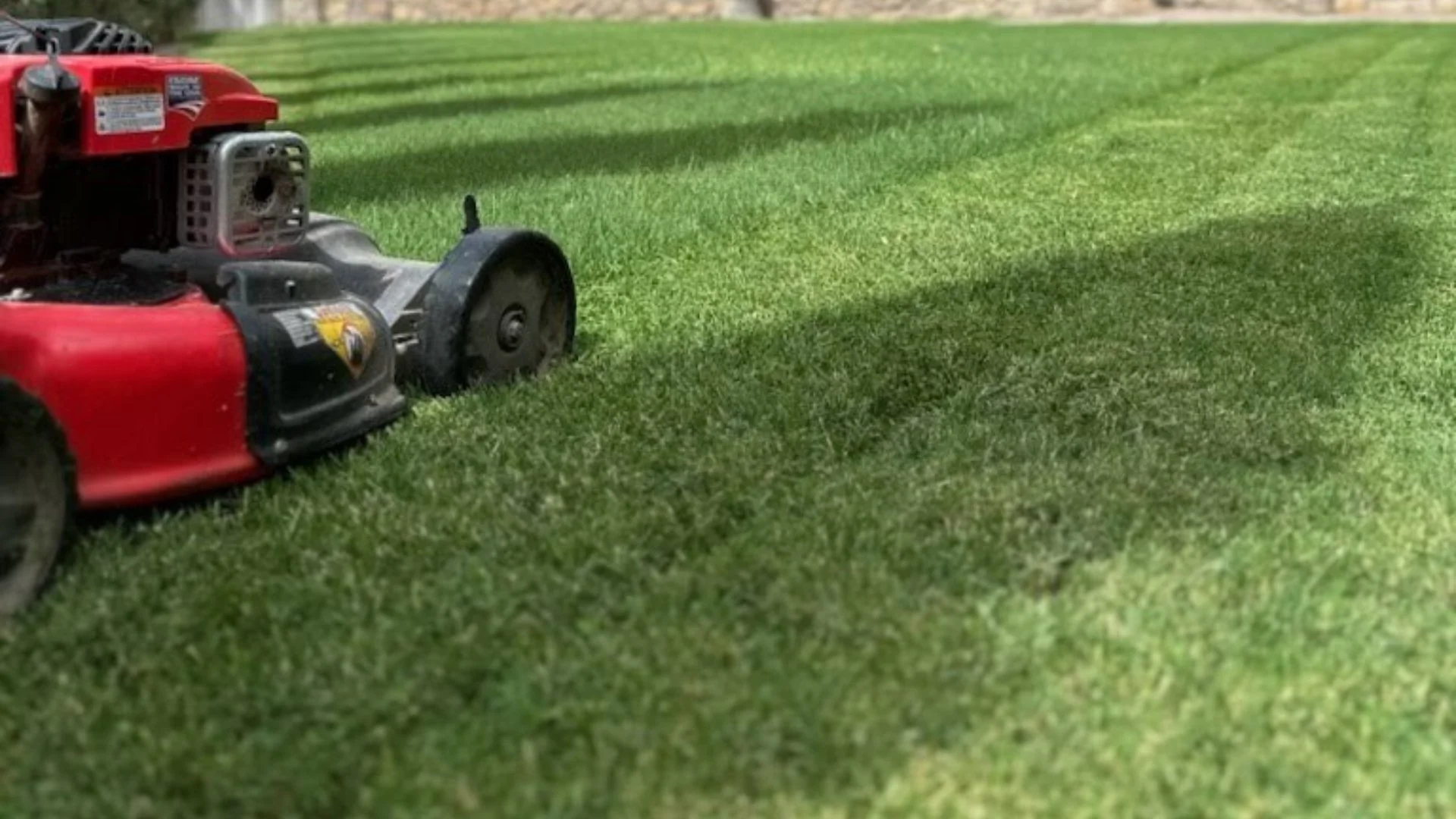 Mowing a Lawn After It Has Rained Is Not Ideal - Wait Until It Dries