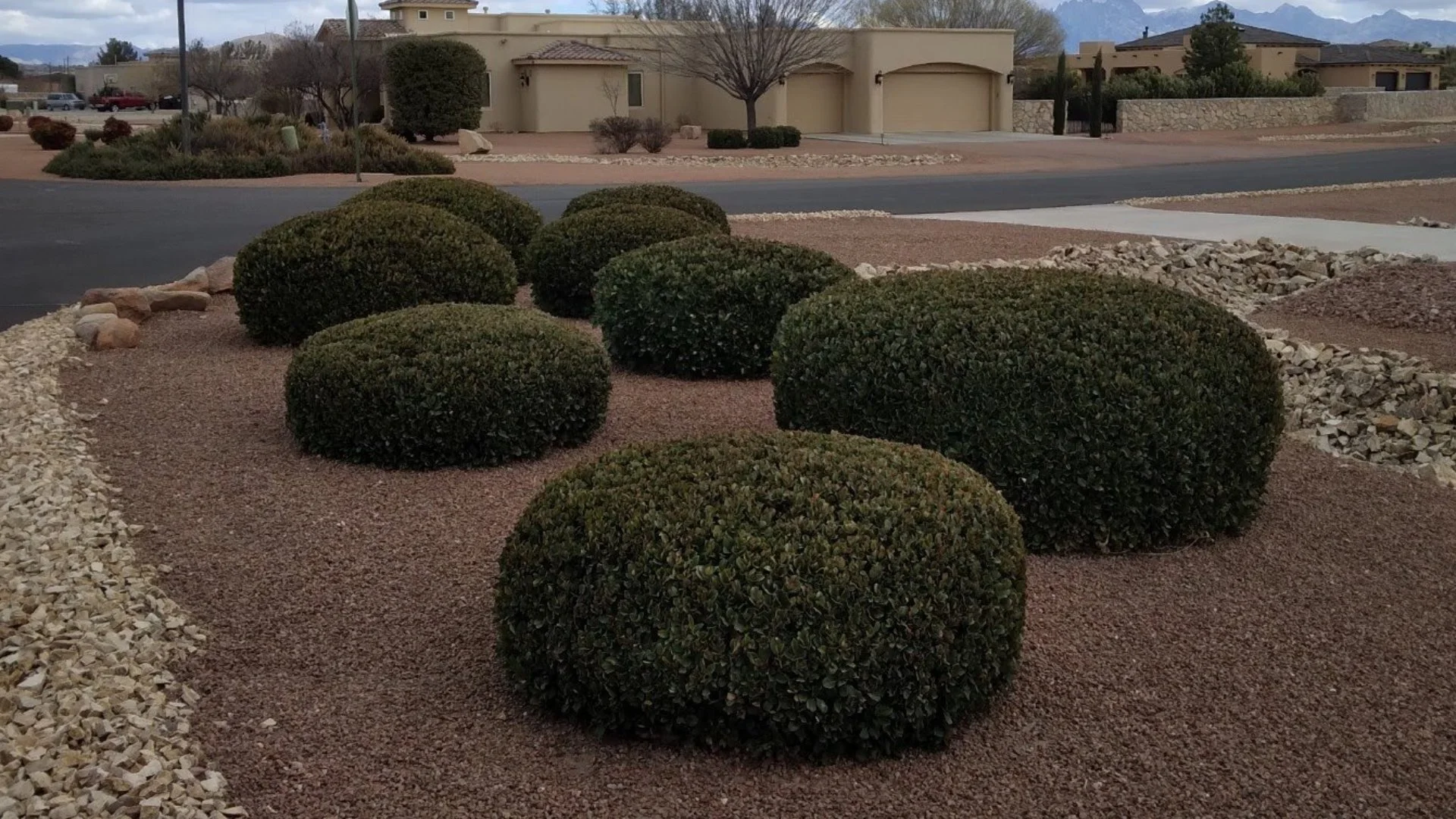 What Exactly Is the Difference Between Plant Trimming & Pruning?