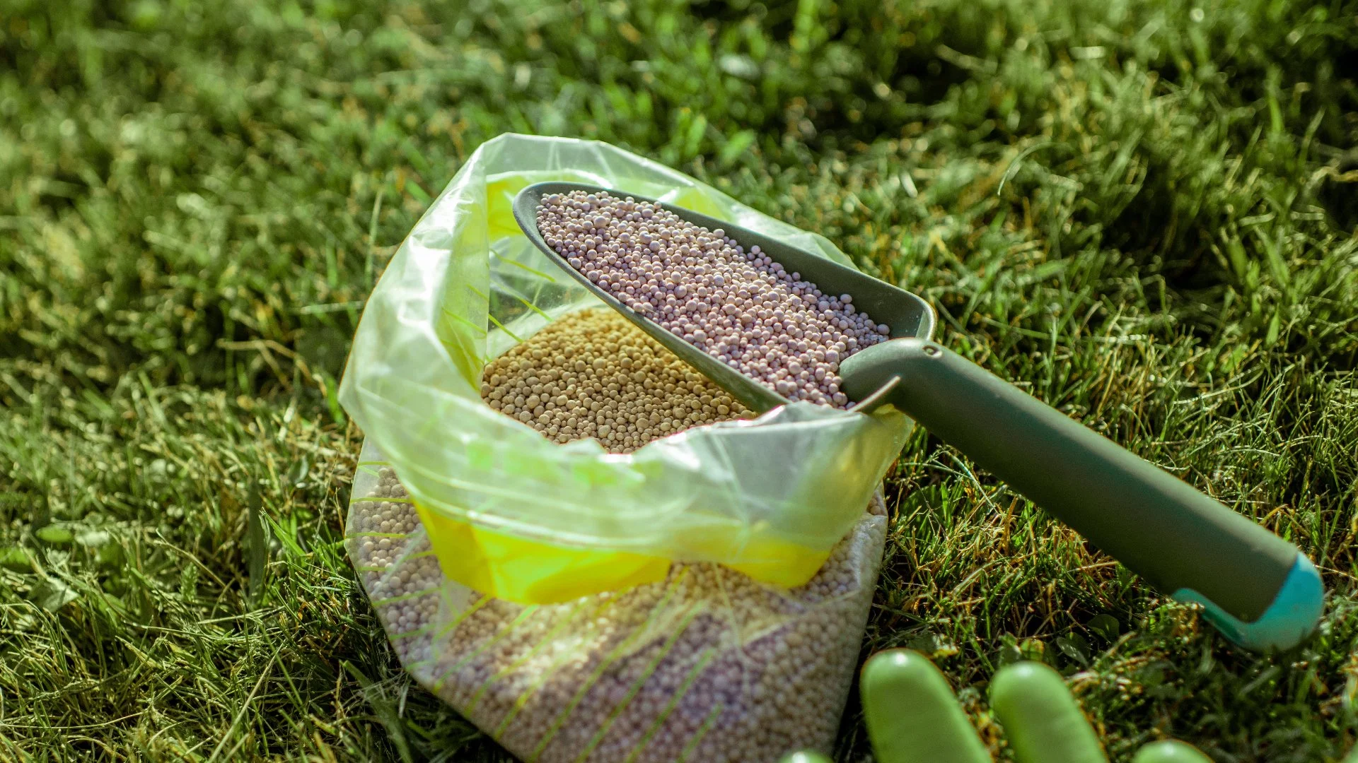 How Do You Know if Your Lawn Is in Need of a Sulfur Treatment?