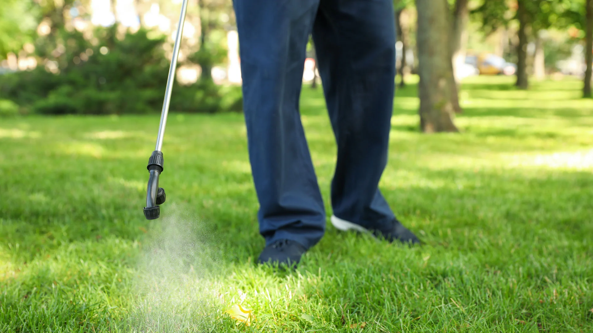 Technician applying weed control to a lawn in Sunland Park, NM.