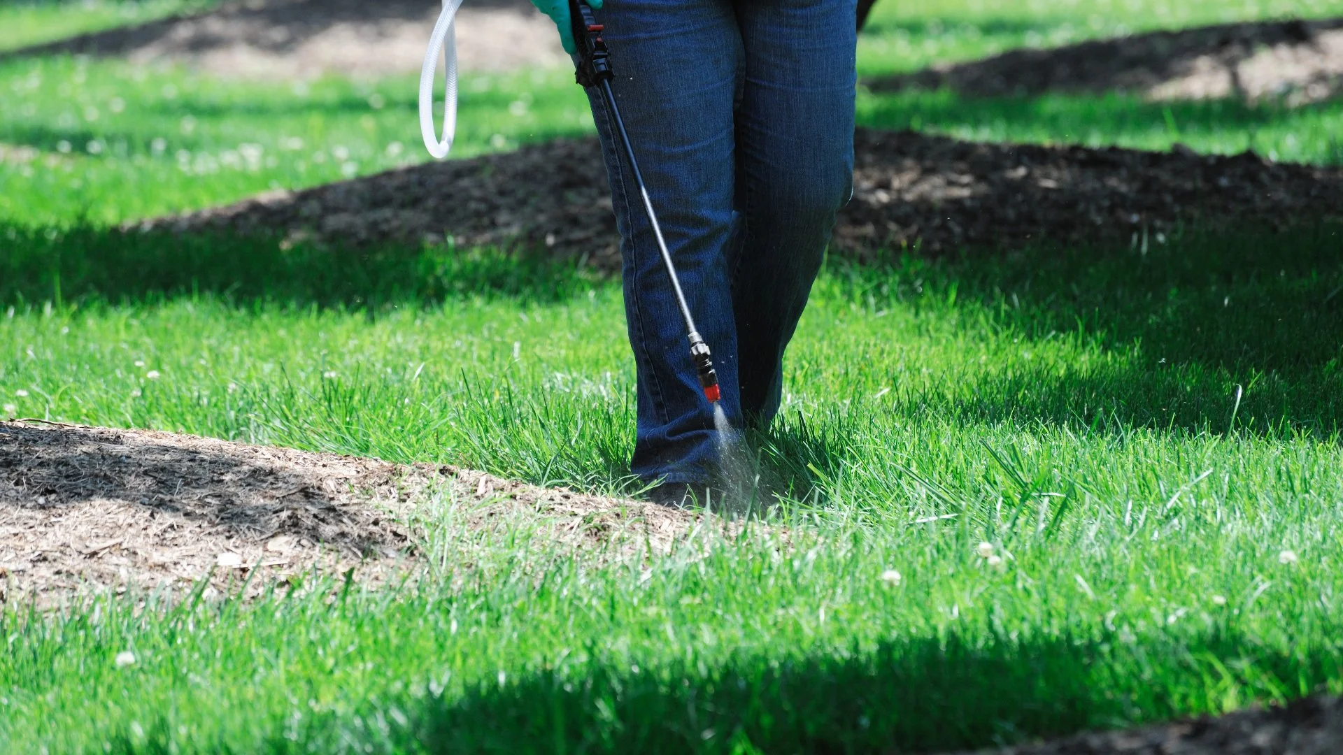 Weed Control Is Essential for Protecting Your Landscape From the Winter Weather