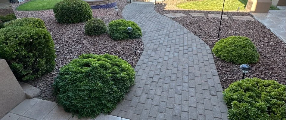 Landscape in Las Cruces, NM, with rocks and shrubs beside a walkway.