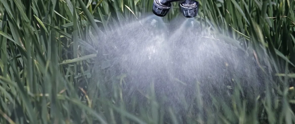 A liquid treatment being sprayed onto a lawn in New Mexico.