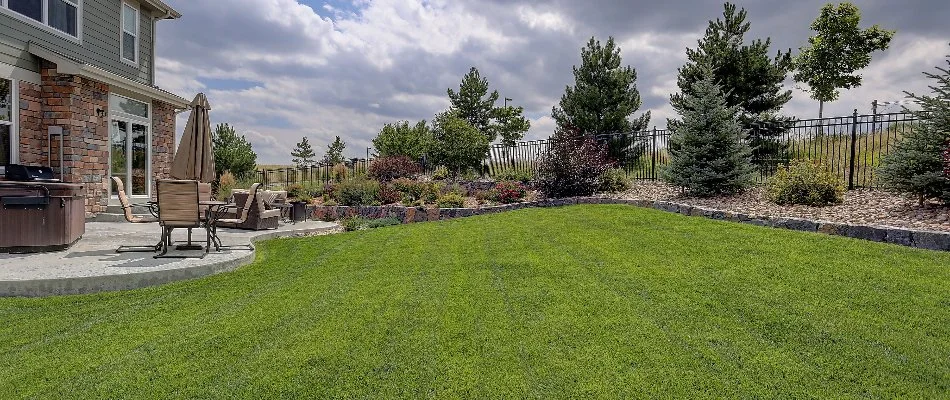 A property in Las Cruces, NM, with green grass and trees in the backyard.