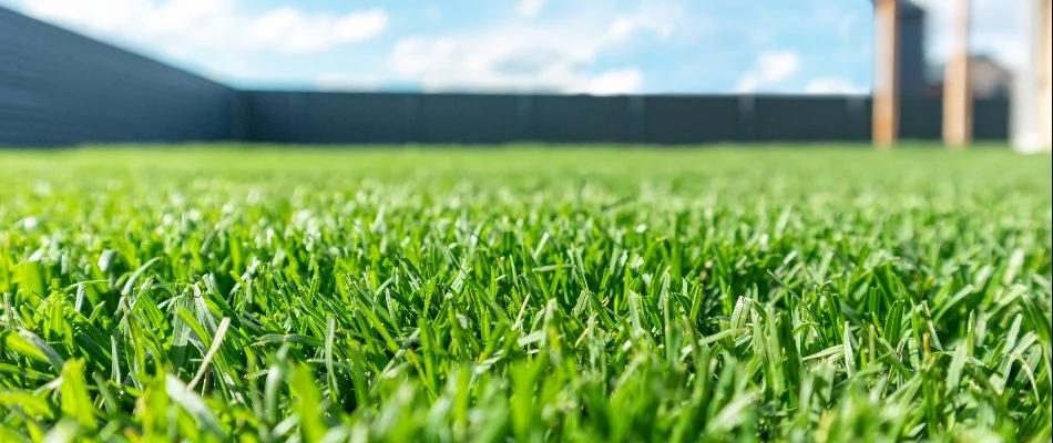 A healthy, green lawn on a property in Las Cruces, NM.