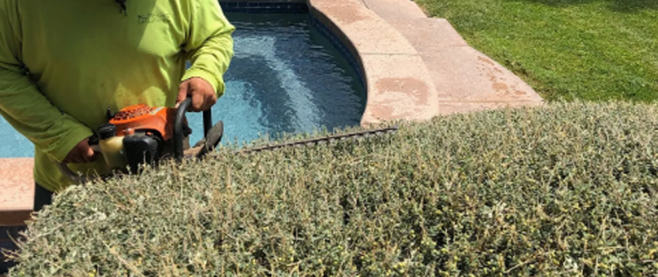 Extreme Landscaping professional servicing landscape shrubs in Las Cruces, NM.
