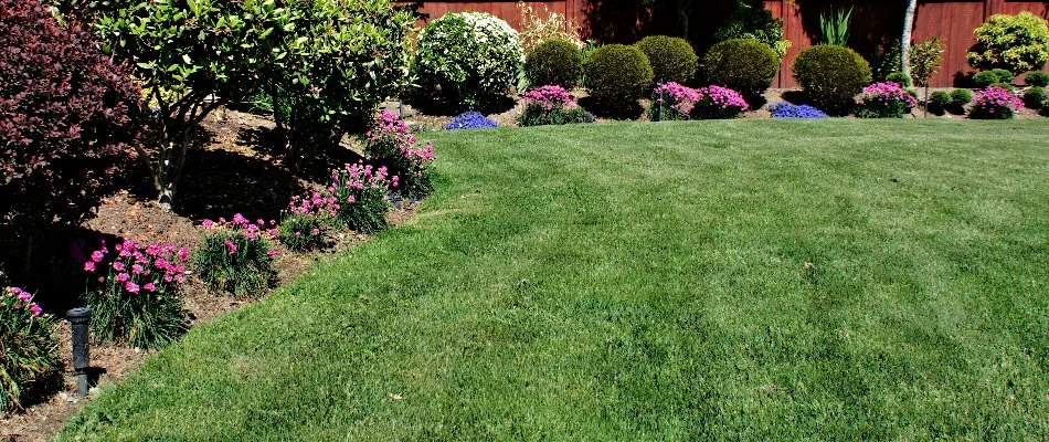 A healthy, green lawn surrounded by landscape beds in San Miguel, NM.