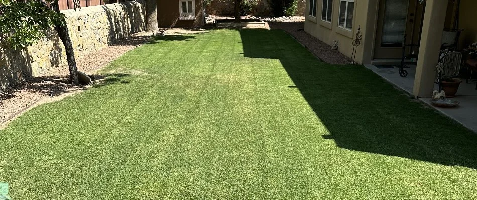 Healthy, green lawn recently mowed in San Pablo, NM.