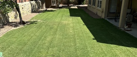 Healthy, green lawn recently mowed in San Pablo, NM.