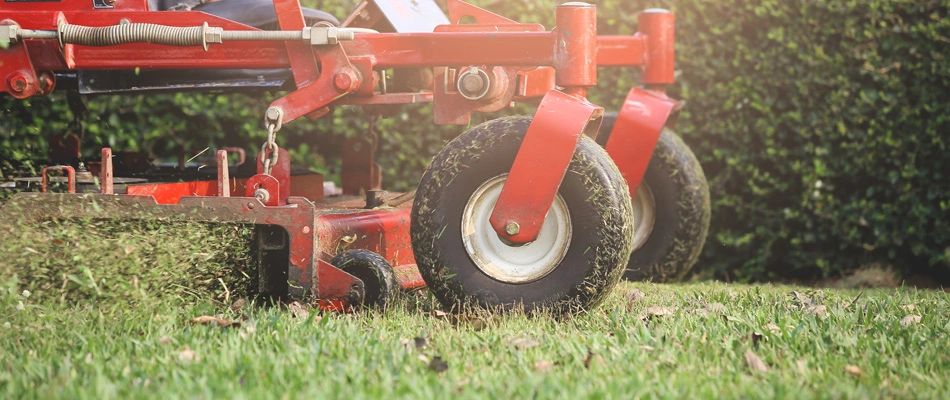 Red mower in a commercial property servicing lawn in Mesilla, NM.