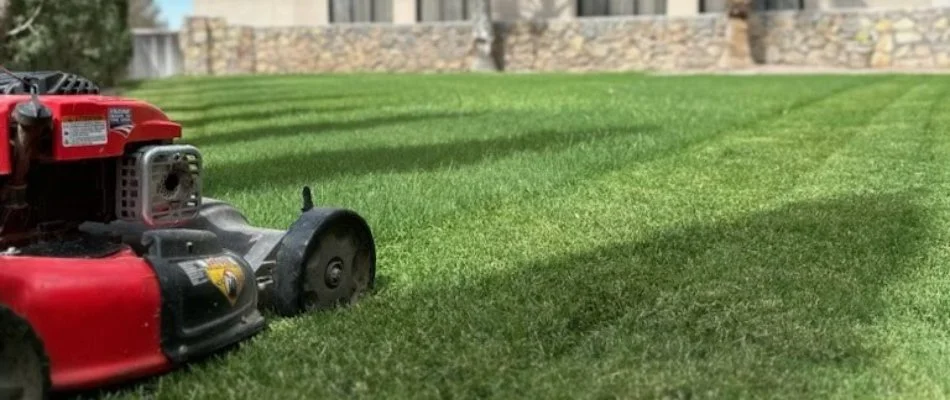 A neat, green lawn in Fairacres, NM, with a lawn mower.