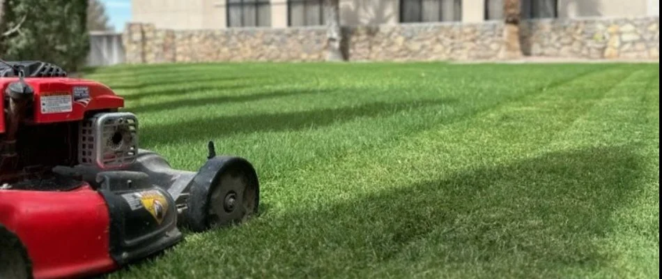 Red lawn mower on grass in San Miguel, NM.