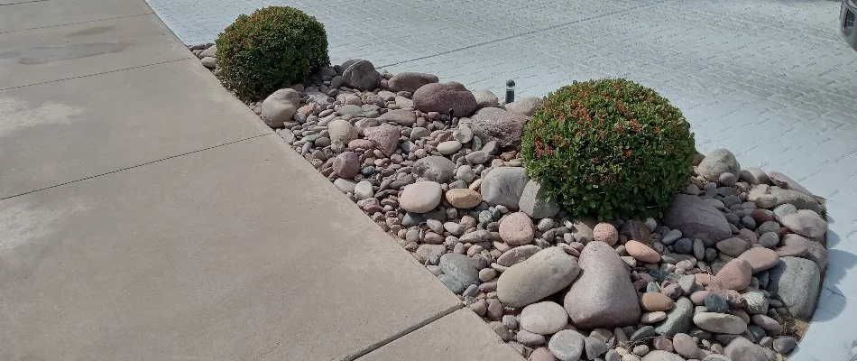 Small landscape bed at residence in Las Cruces, NM.