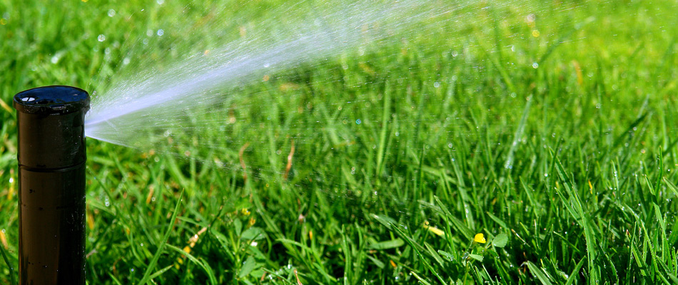 Sprinkler head watering lawn in Mesilla, NM.