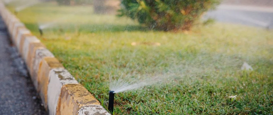 Sprinkler head spraying water on a lawn in San Pablo, NM.