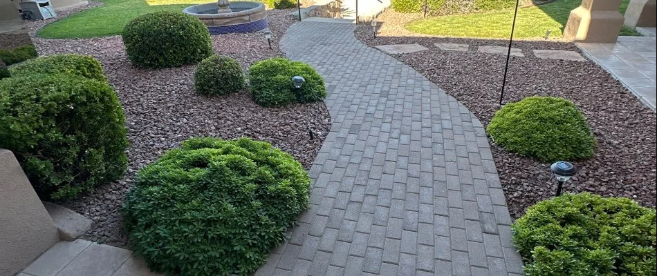 Freshly trimmed shrubs on a property near a walkway.